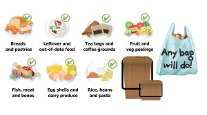 Food Waste Service - a handy guide 